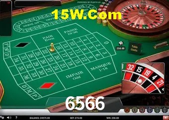 6566 - Customer Support